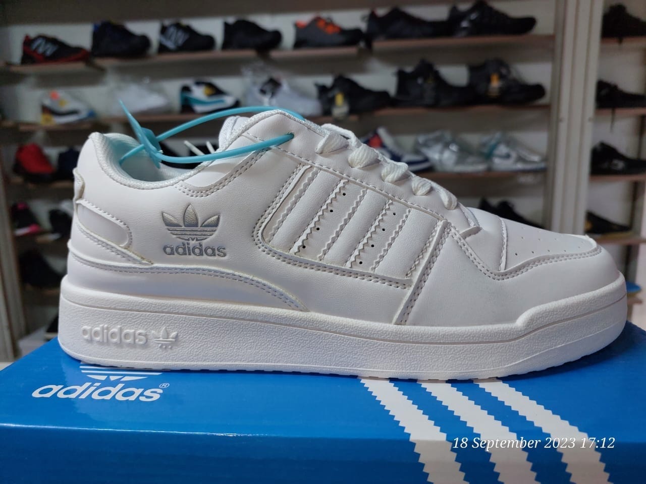 Adidas Shoes